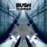 Bush