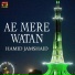 Hamid Jamshaid