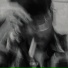 Glarg