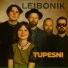 Leibonik