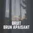 Bruit Brun