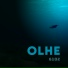 OLHE