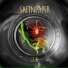 SALTNPAPER