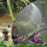 Pygmies AKA