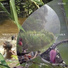 Pygmies AKA