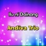 Andiva trio
