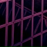 Elastic Skies, Edictum