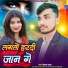 Vikash Yadav