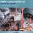 Boban Markovic Orkestar