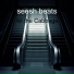 seesh beats
