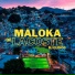 DJ GUDOG feat. Two Maloka