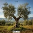Eldib
