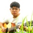 TRONLEY