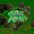 RUDEBOY214, WILLSMOKE, BLACKBOII HKT, PEE GAMO