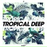 DeeP HousE Live