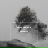 Aron van Selm, Ardie Son