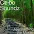 Ceibo Soundz