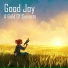 Good Joy