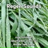 Enna Maras, Rain Sounds, Nature Sounds