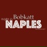 Bobkatt feat. Mattia Lauro