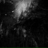 OBSCUREMANE