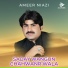 Ameer Niazi