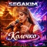 SEGAKIM
