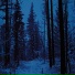 vishnyazxc