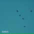 SVEDA