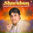 Anwaar Niazi