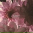 Elsbeth