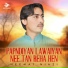 Neemat Niazi