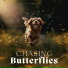 Relax My Dog Music