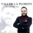 Vali de la Ploiesti