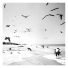 Coliguacho