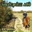 Устрица
