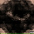 zvp x trippythamine