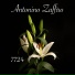 Antonino Zaffiro