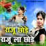 Raju Sapre feat. Varsha Sahu