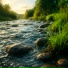 Velune, Песни птиц и звуки воды