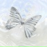 Lover