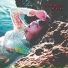 April Red 紅 feat. Code Wu
