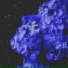 eppoxx