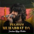 Zeeshan Khan Rokhri