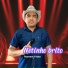 netinho brito