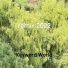 Keyword World