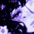 Shiloh Dynasty, U-ZAI, DJ MLG
