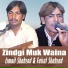 Ismail Shahzad, Faisal Shahzad