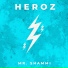 Mr. Shammi