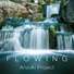 Anzoki Project